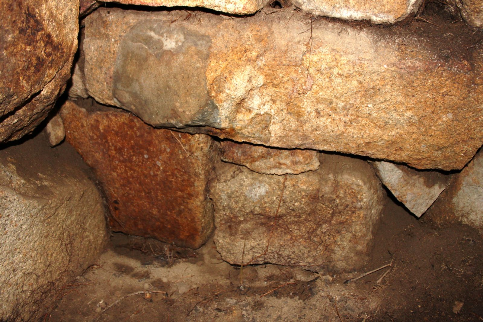左側壁（天井石の隙間から）