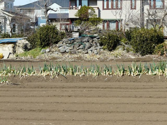鳶尾古墳【神奈川県厚木市】 - ぺんの古墳探訪記