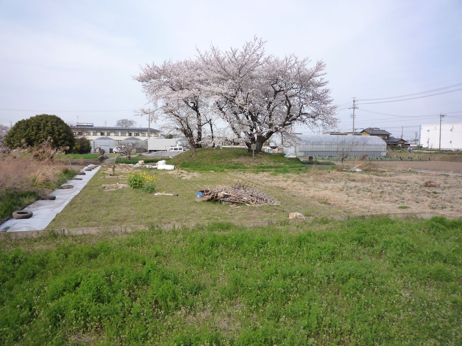 桜塚古墳の遠景