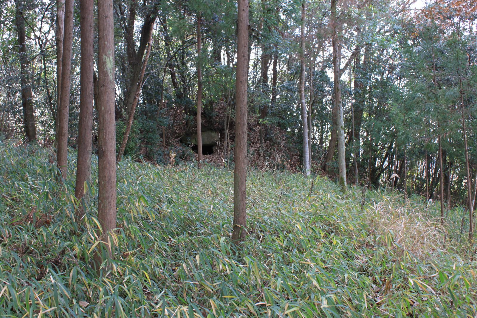 古墳全景（東側より撮影）