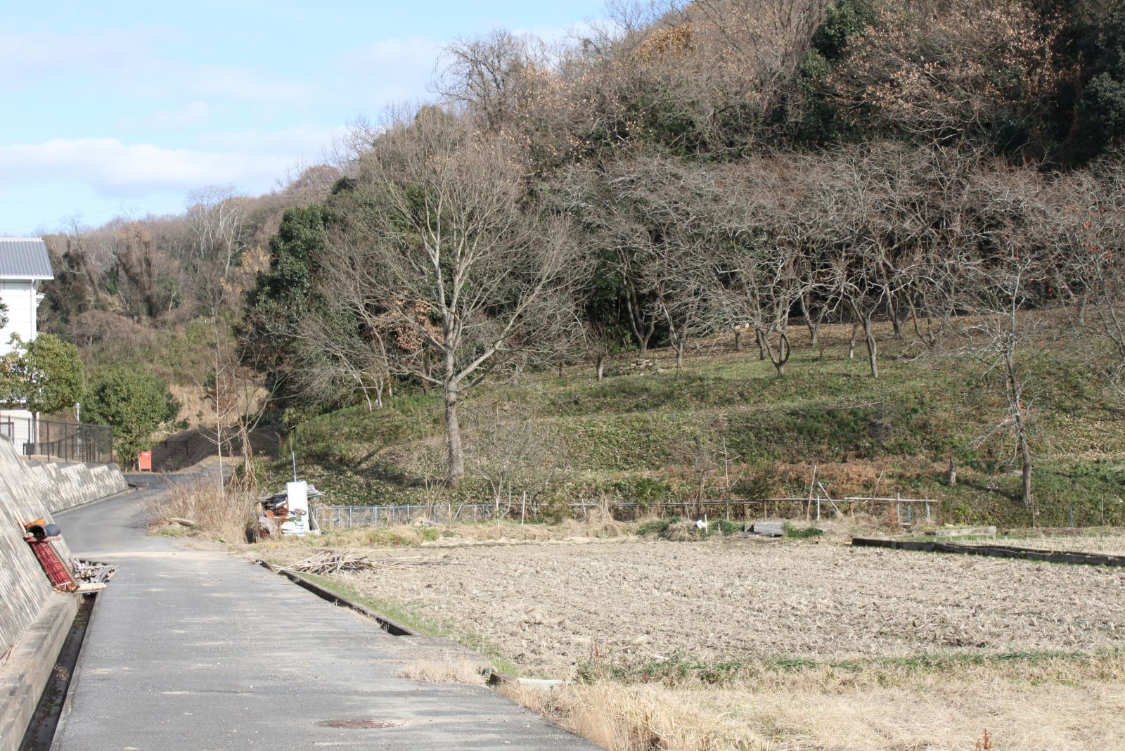 古墳丘陵（西から撮影）