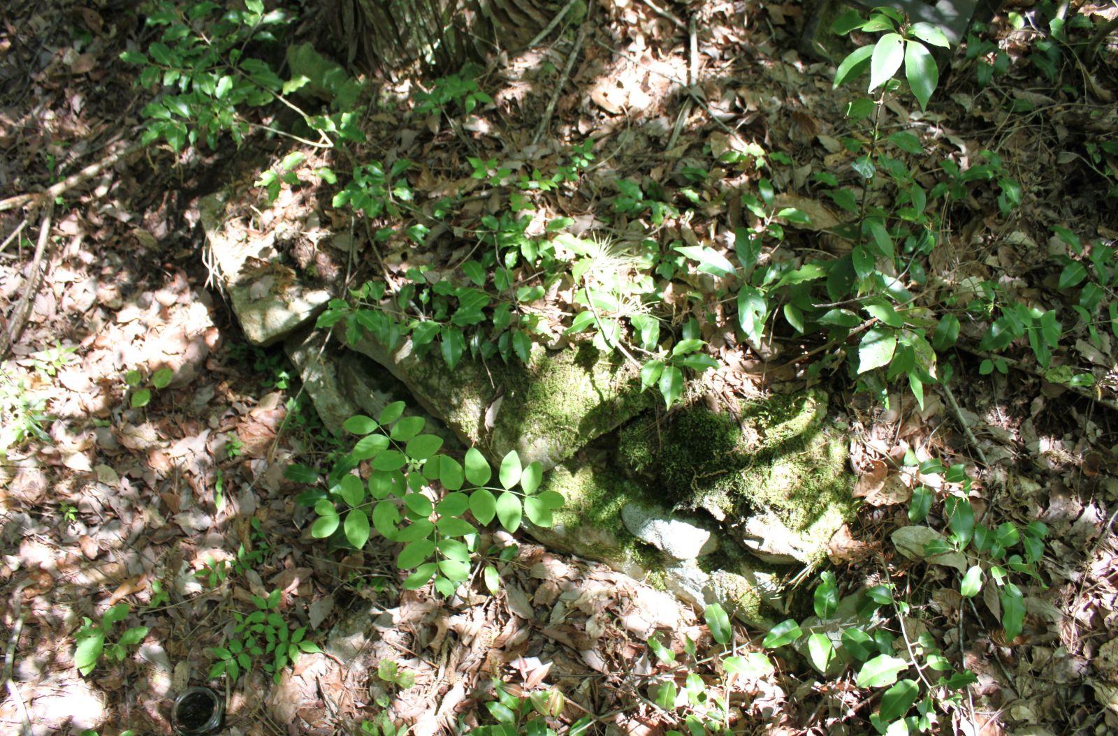 竪穴式石室の石材（手前に水入れ）