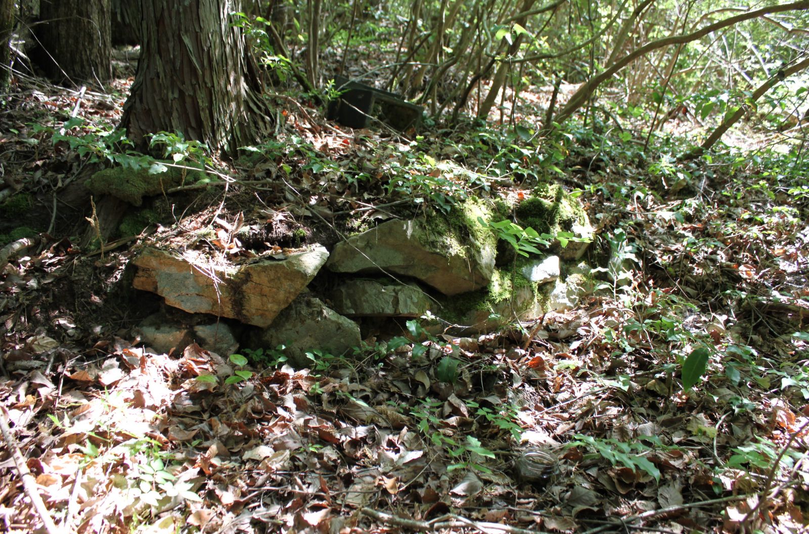 竪穴式石室の石材