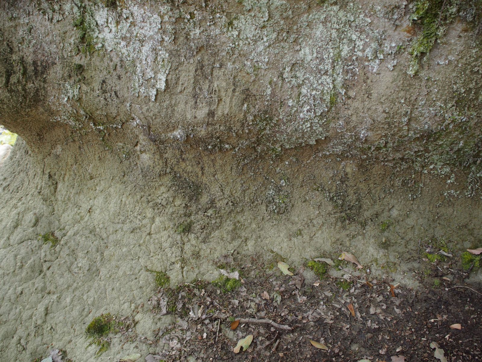 羨道左側の掘った跡