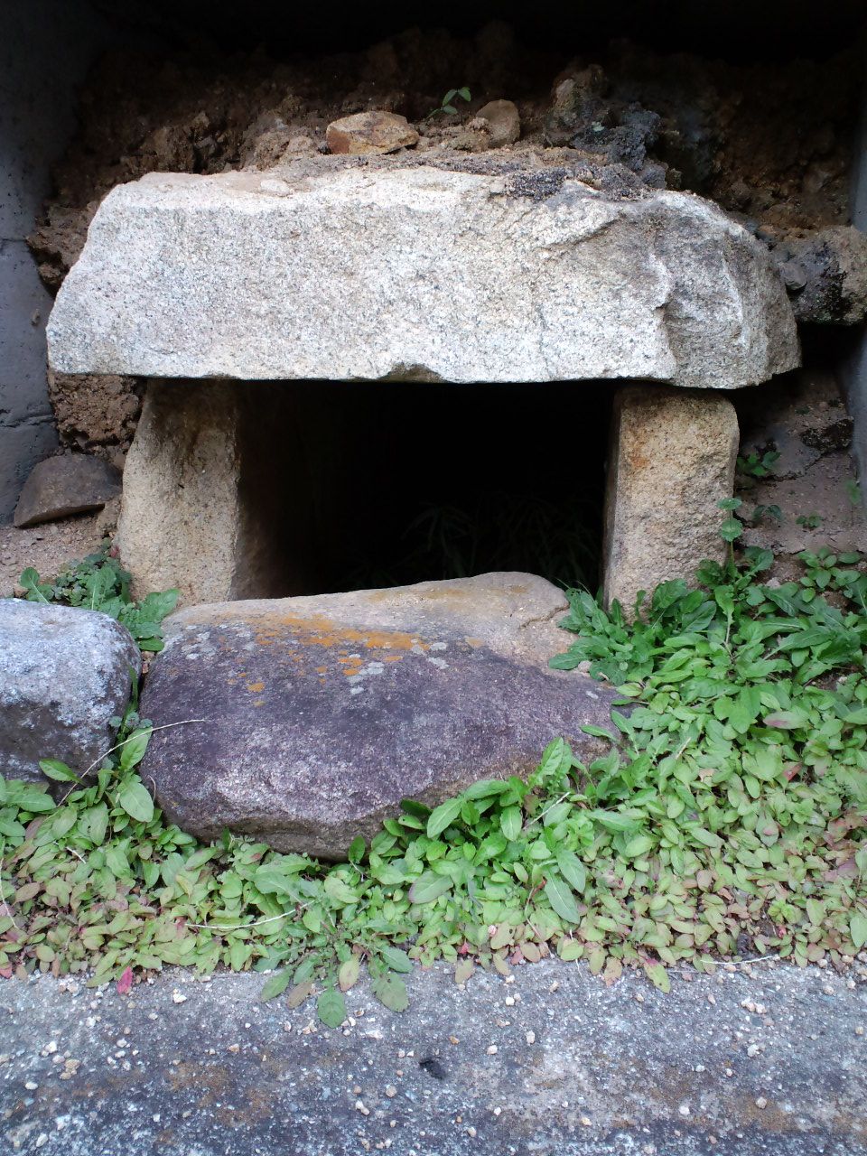 道路向かい側 箱式石棺