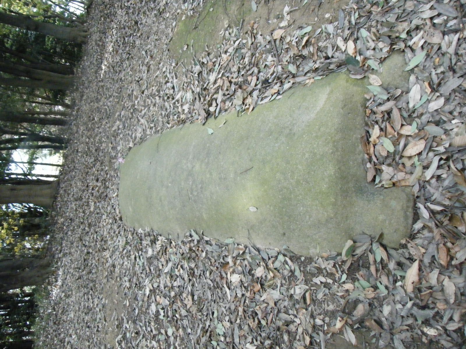 竜山石製長持型石棺の蓋