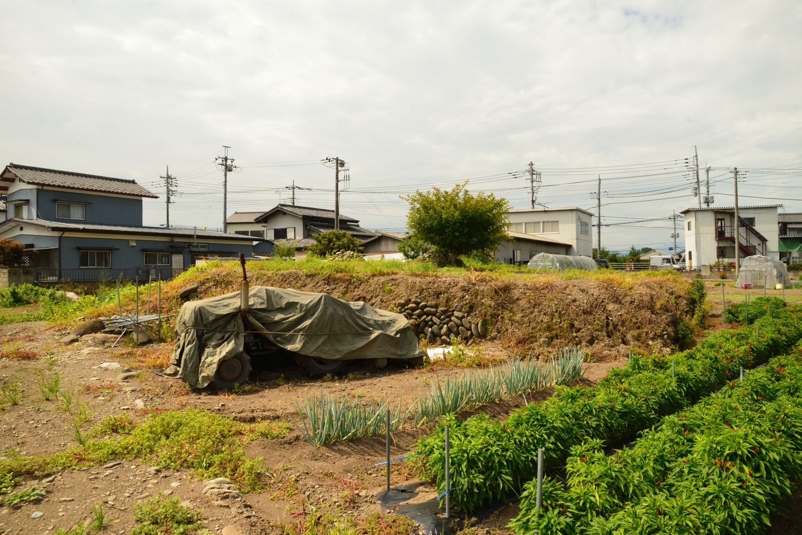 福島町52号