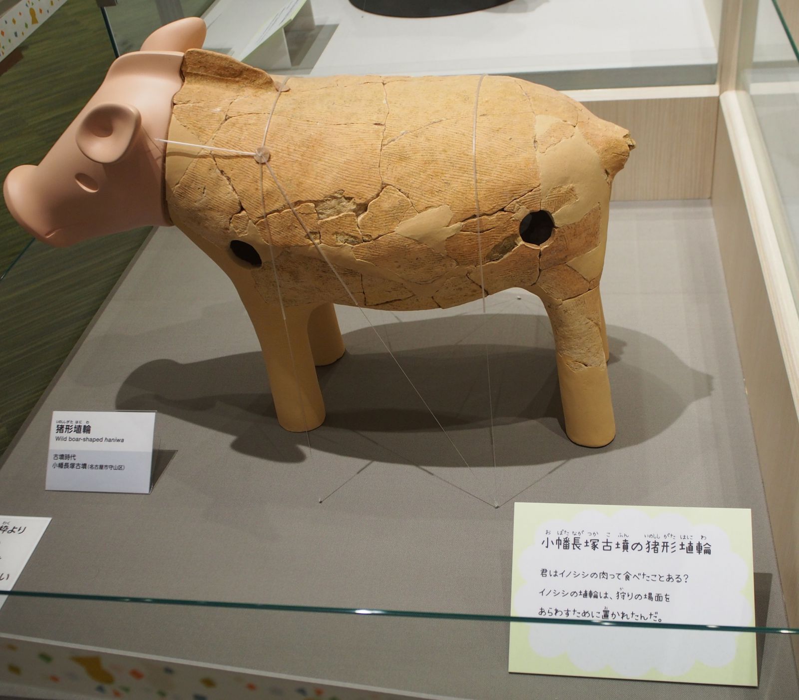 しだみゅーに展示の猪形埴輪