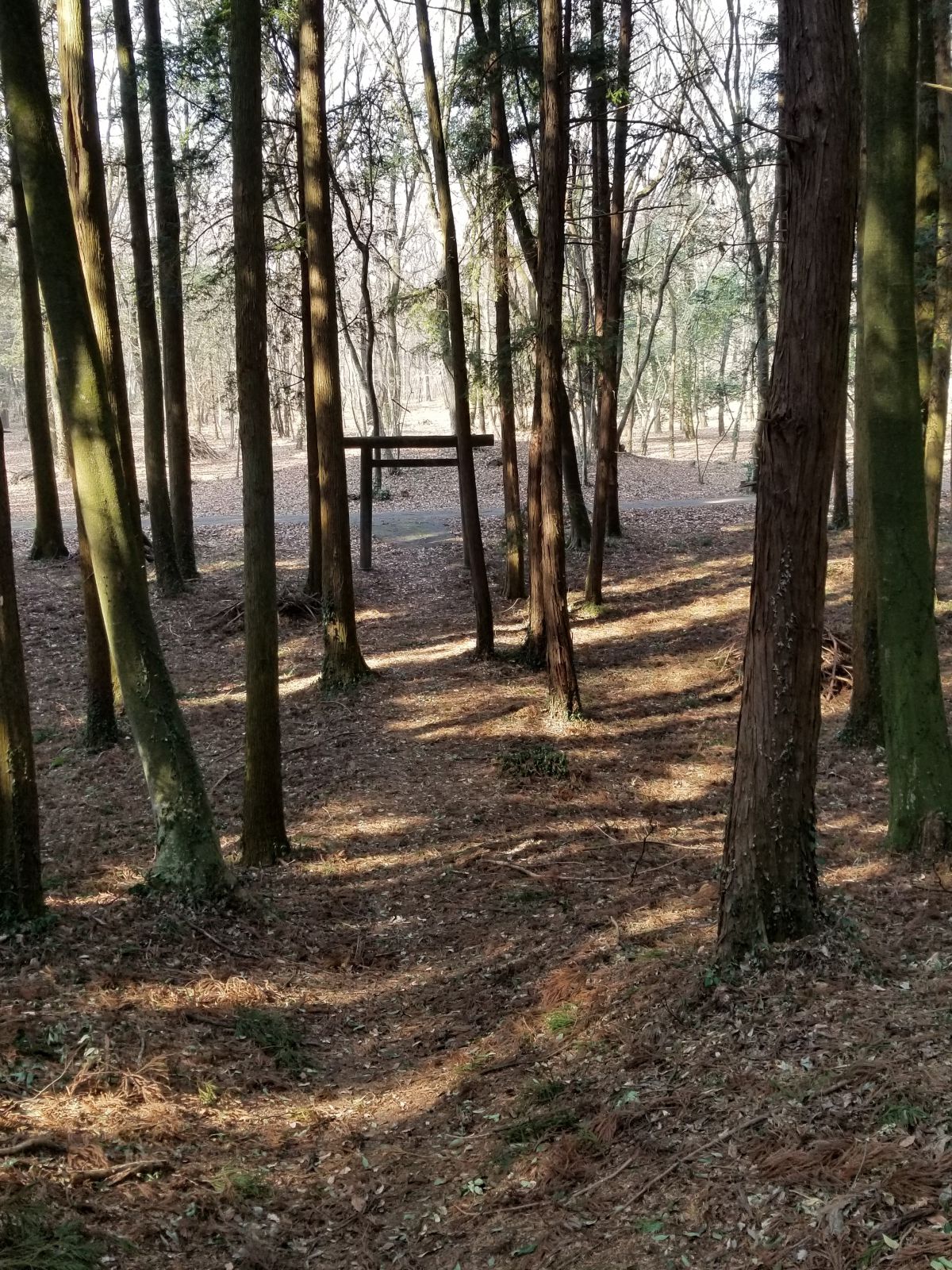 浅間神社古墳から側の円墳