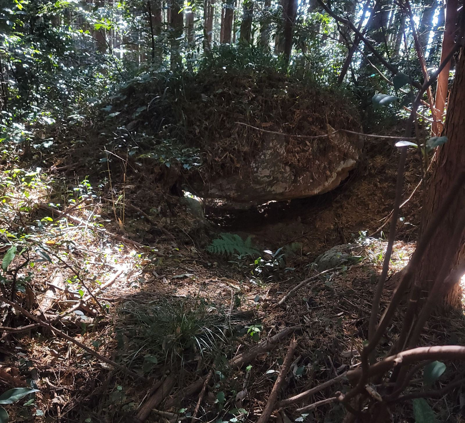 石室北東から