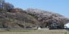 弘法山の東、古墳が頂上に見えます。