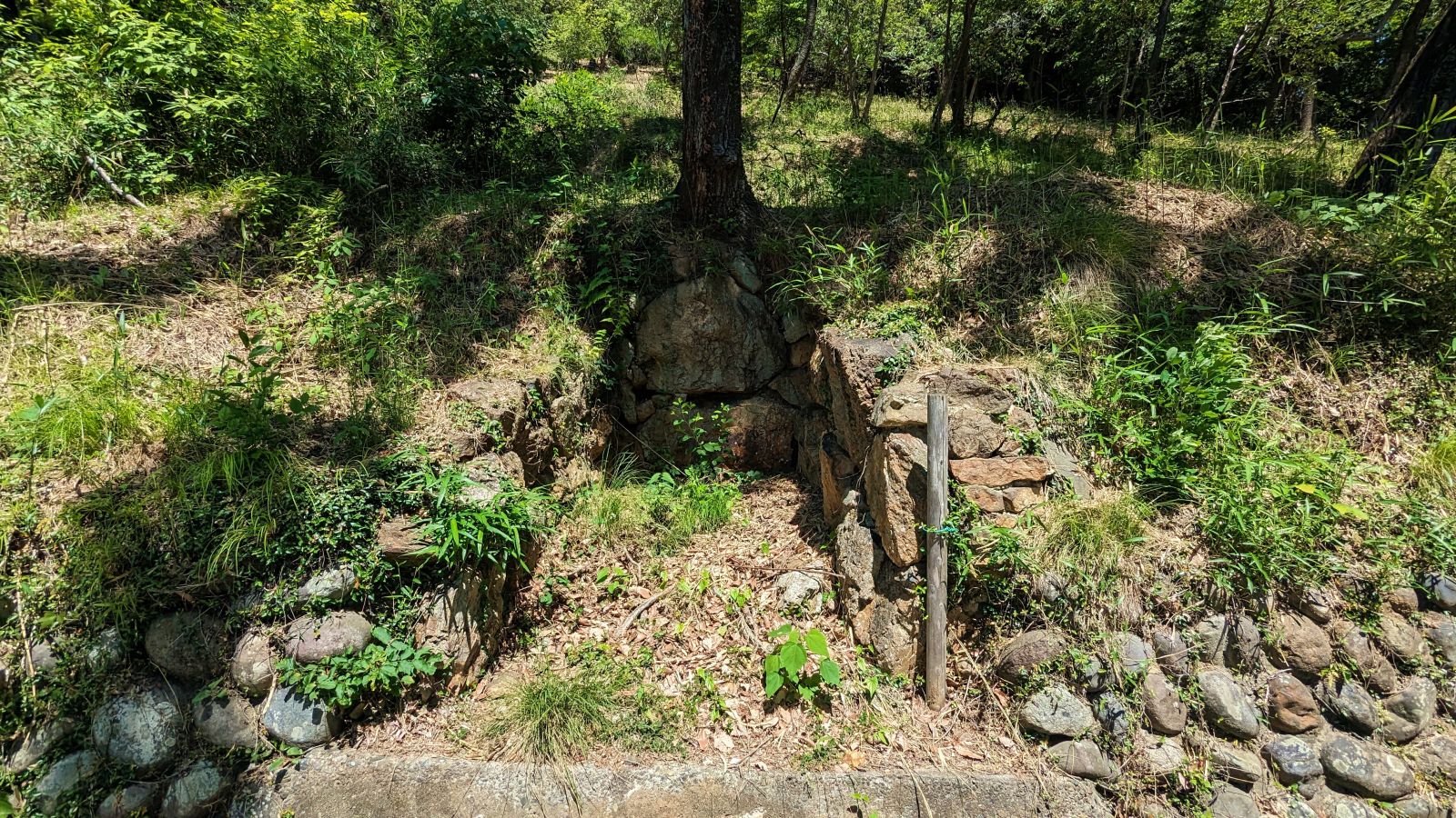 東方向から見た墳丘