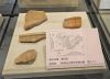 企画展古墳時代のナゴヤ-古渡遺跡群-より