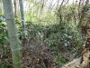 庚申塚４号墳