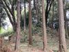 真崎1号墳
