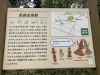 真崎古墳群