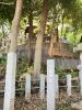 八雲神社　側面