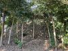 八雲神社　後ろ