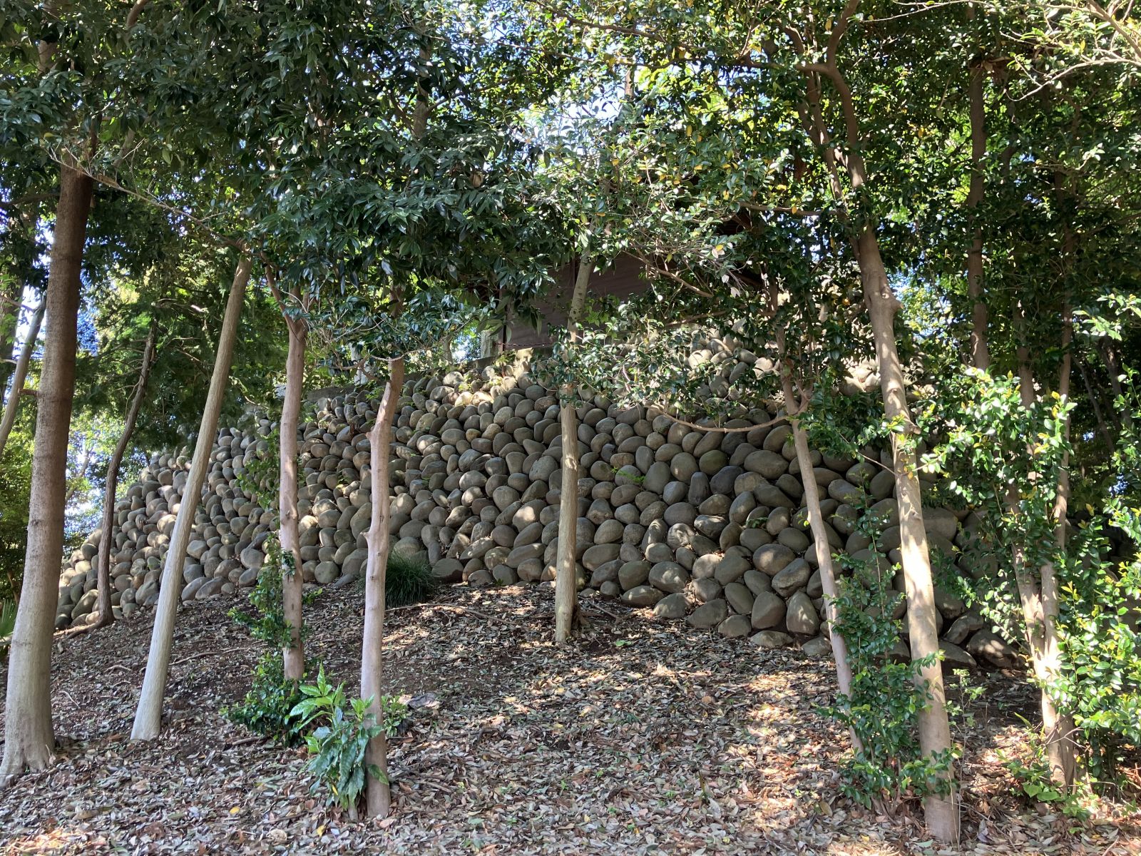 八雲神社　後ろ