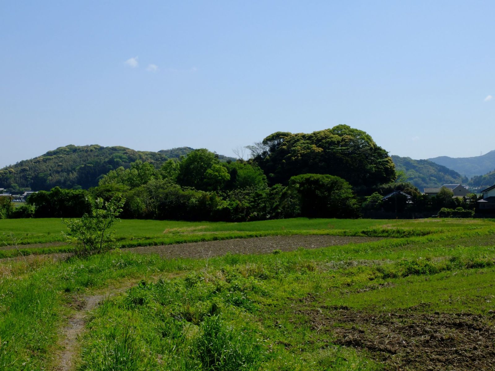 長石二塚古墳(西側より)