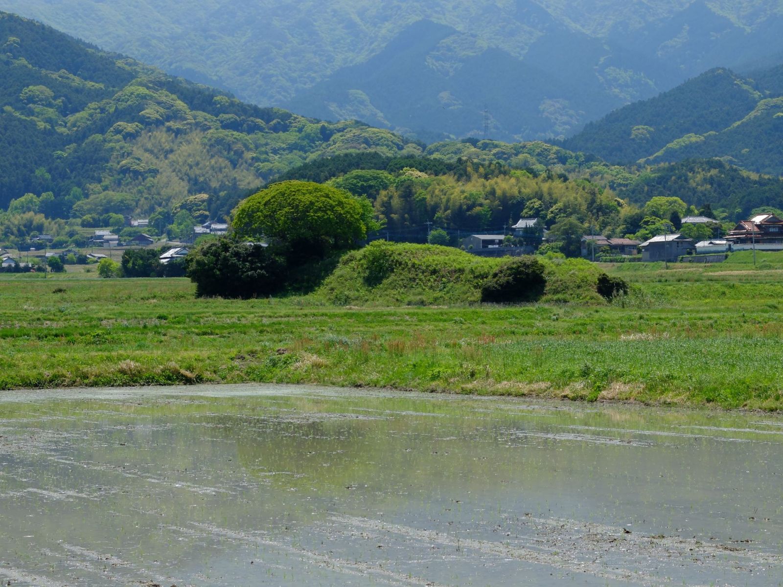 井原1号墳東側より