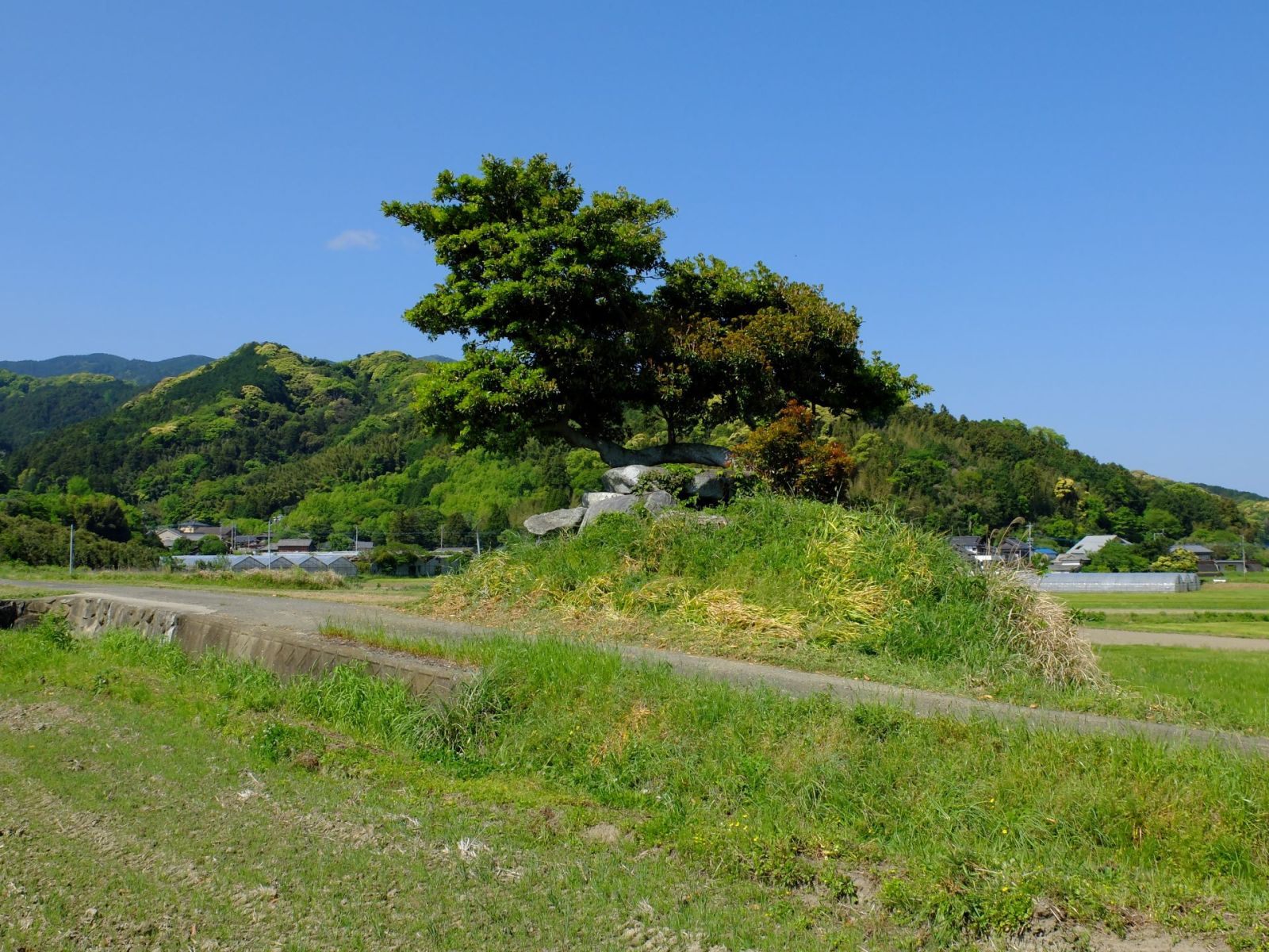 園一号墳