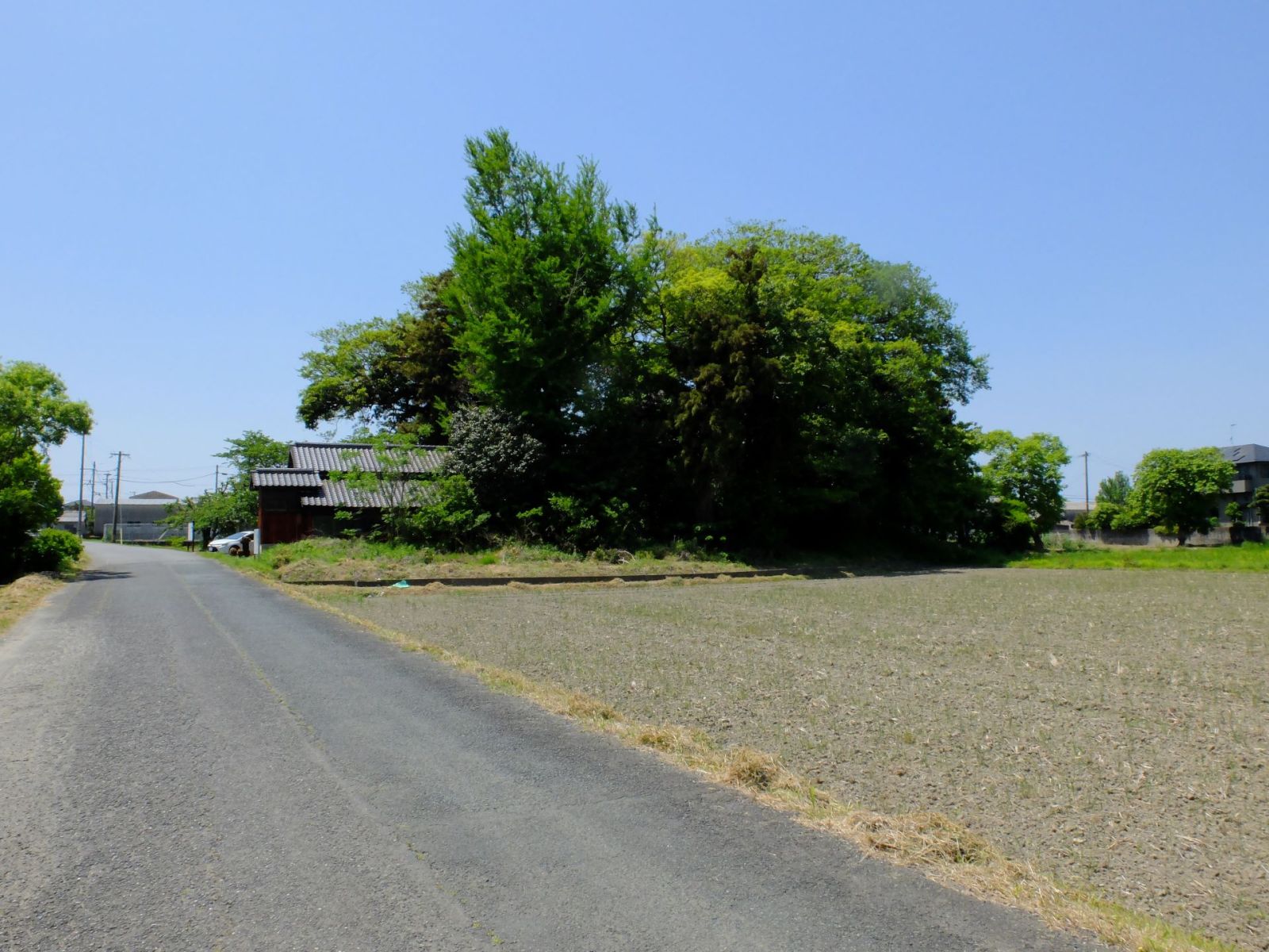 築山古墳(東側より)