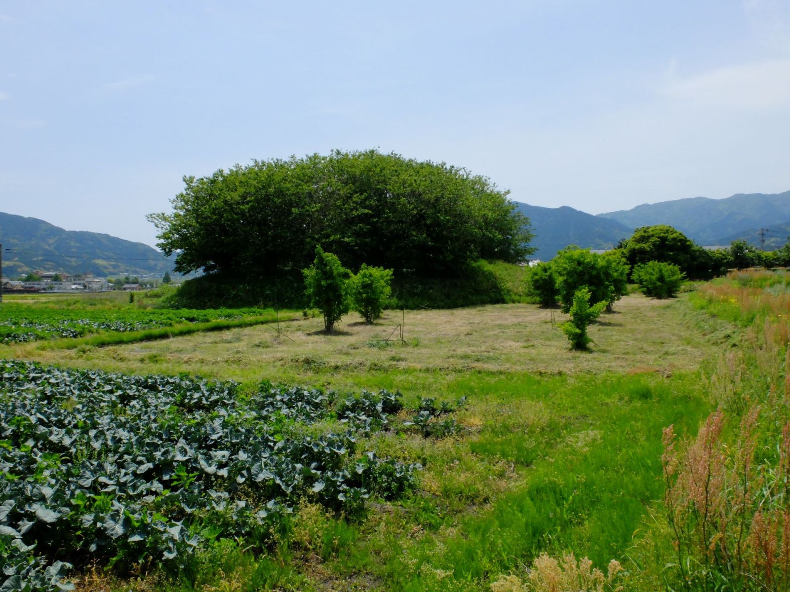端山古墳(北西側より)