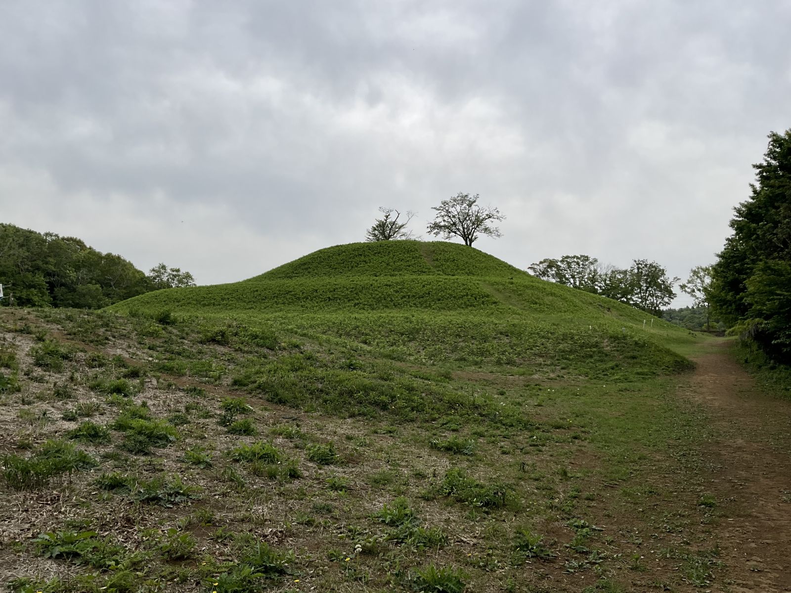 105号墳全景