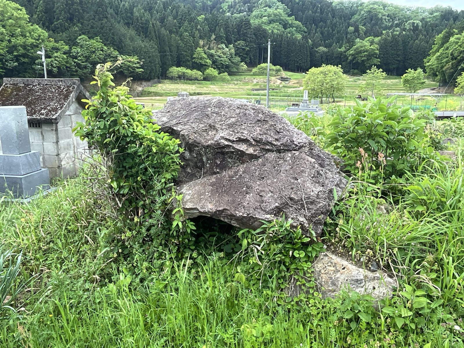 露出した石室の石
