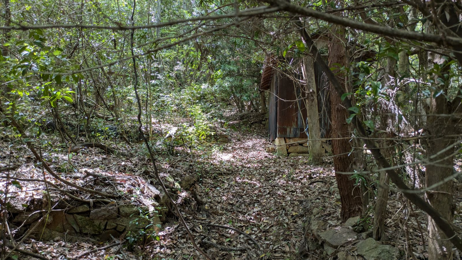 1号墳の左奥15ｍにある小屋その奥に2号