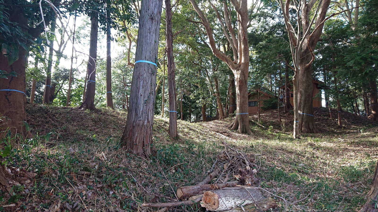 前方部脇から右奥に後方部