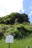 茶臼山古墳（下坂本陵墓参考地飛地は号）
