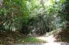 本塚（丸山）古墳拝所の先