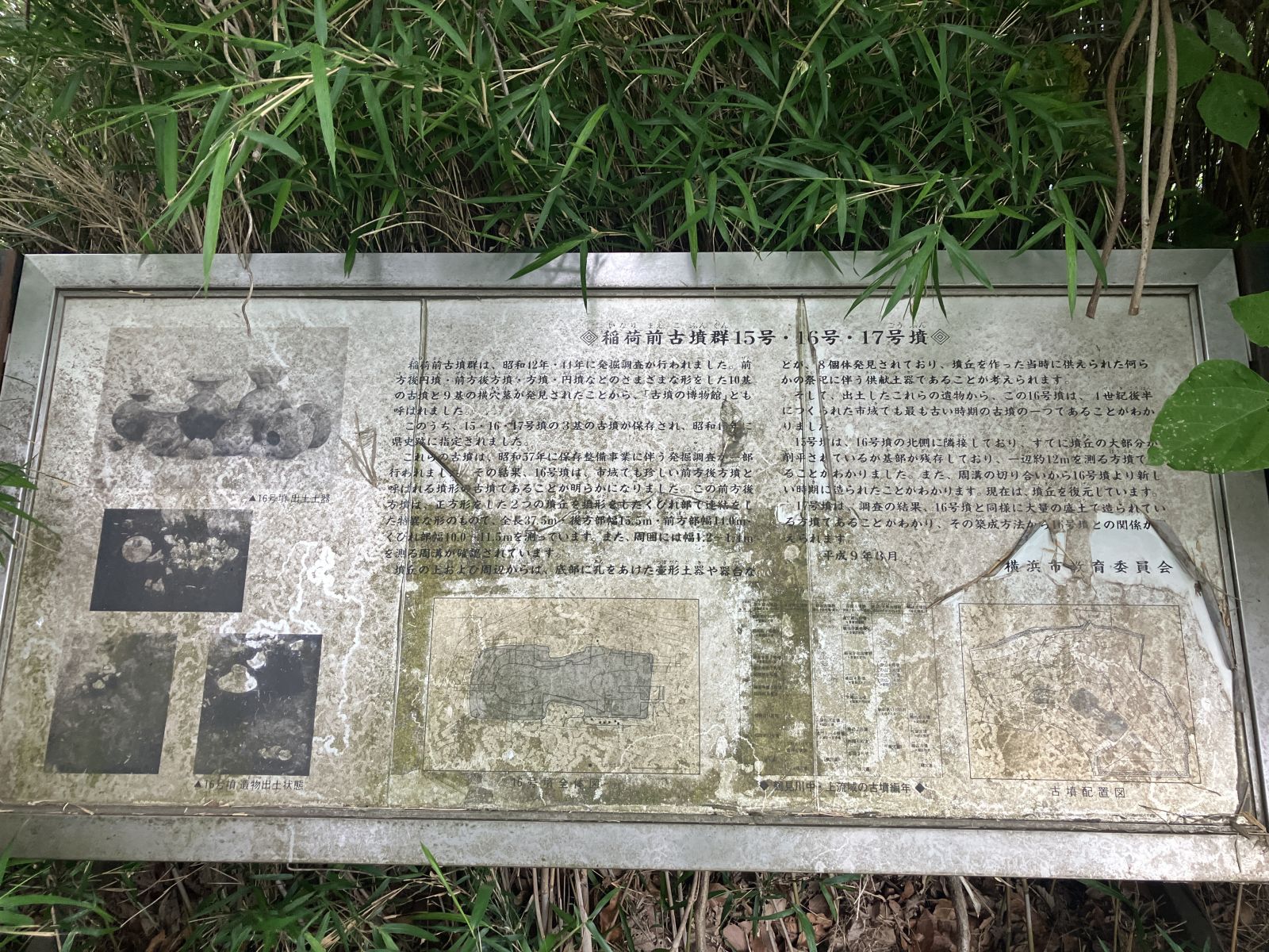 案内板の全体が見えるようになってました