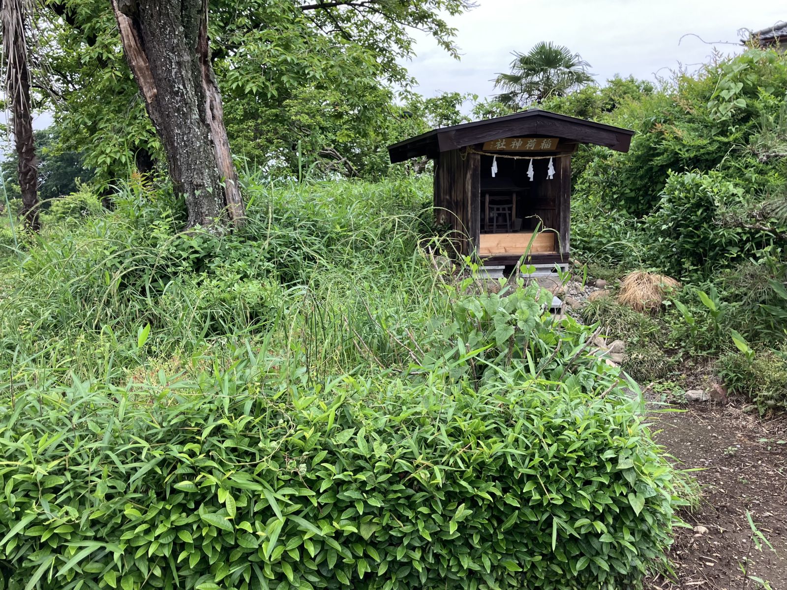 おはやし山２号墳