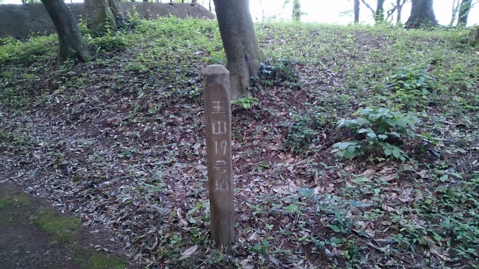 王山19号墳