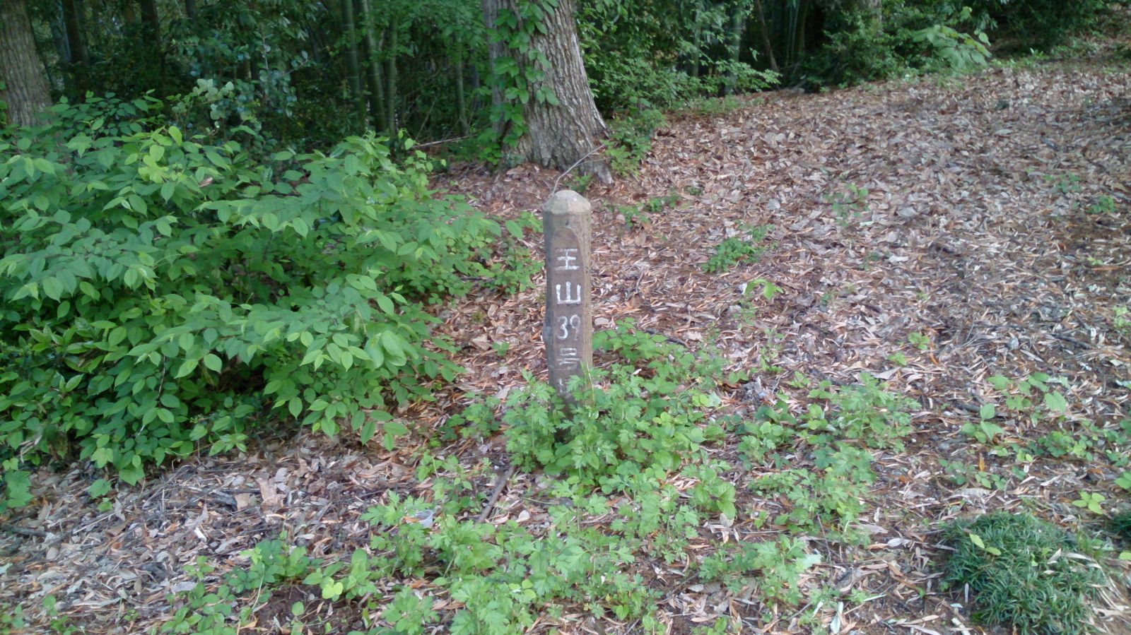 王山39号墳