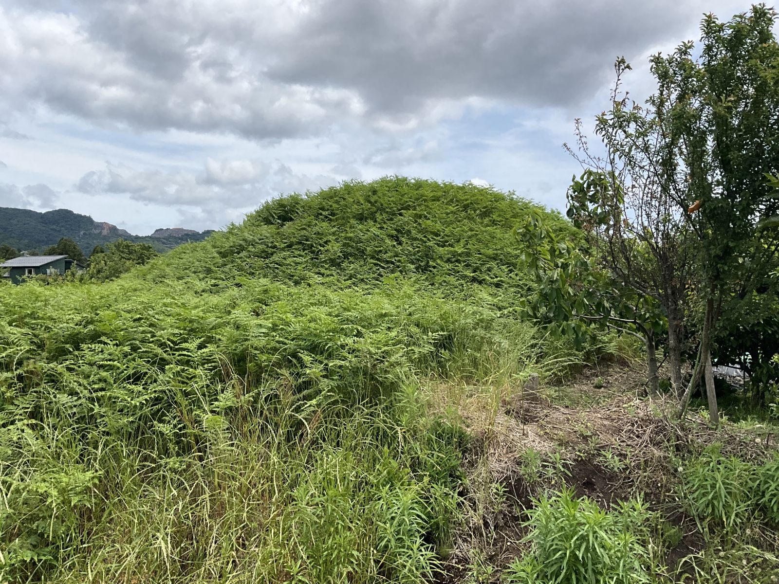 野9号墳