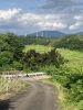 墳丘らしき部分の遠景
