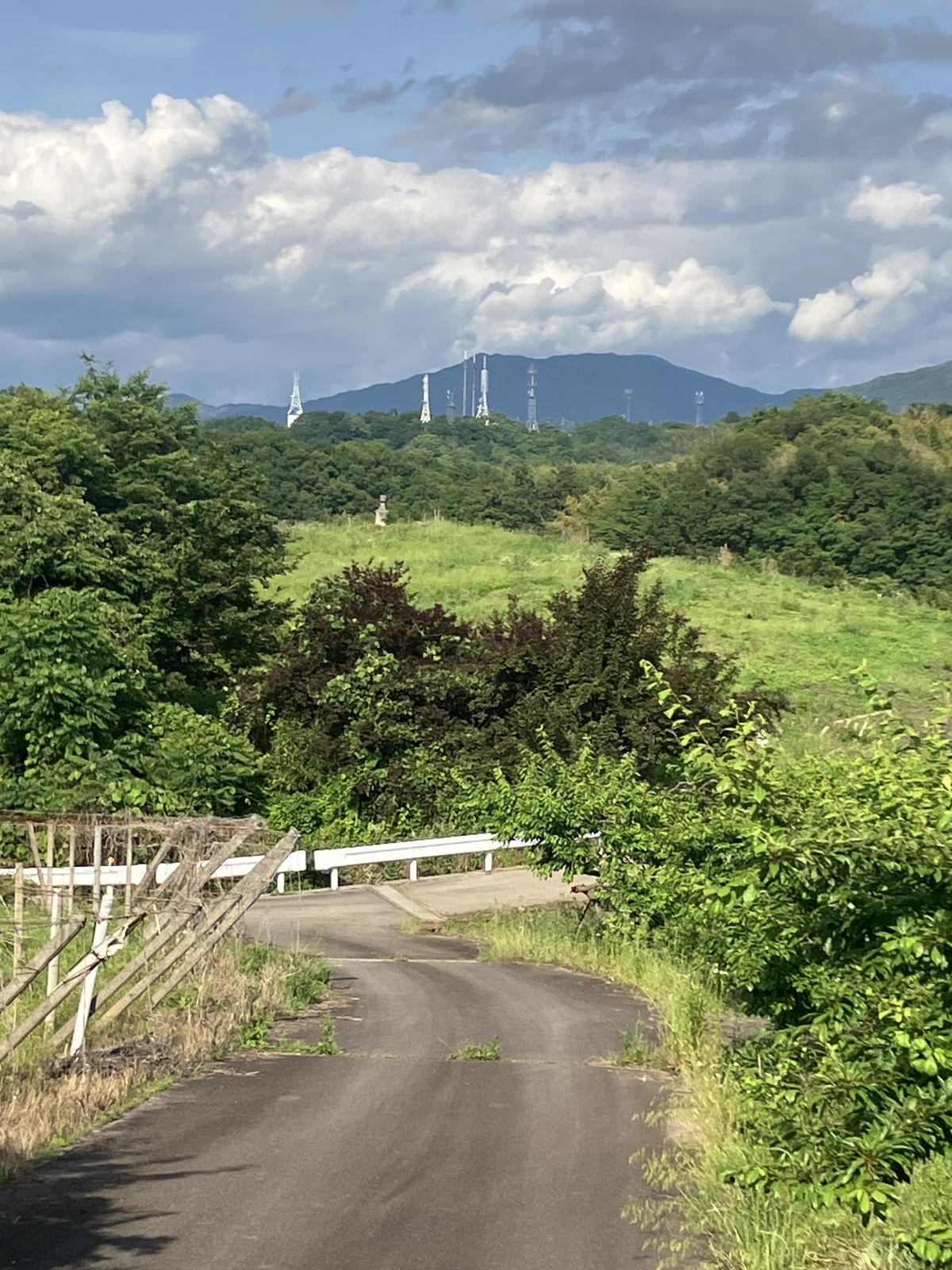 墳丘らしき部分の遠景