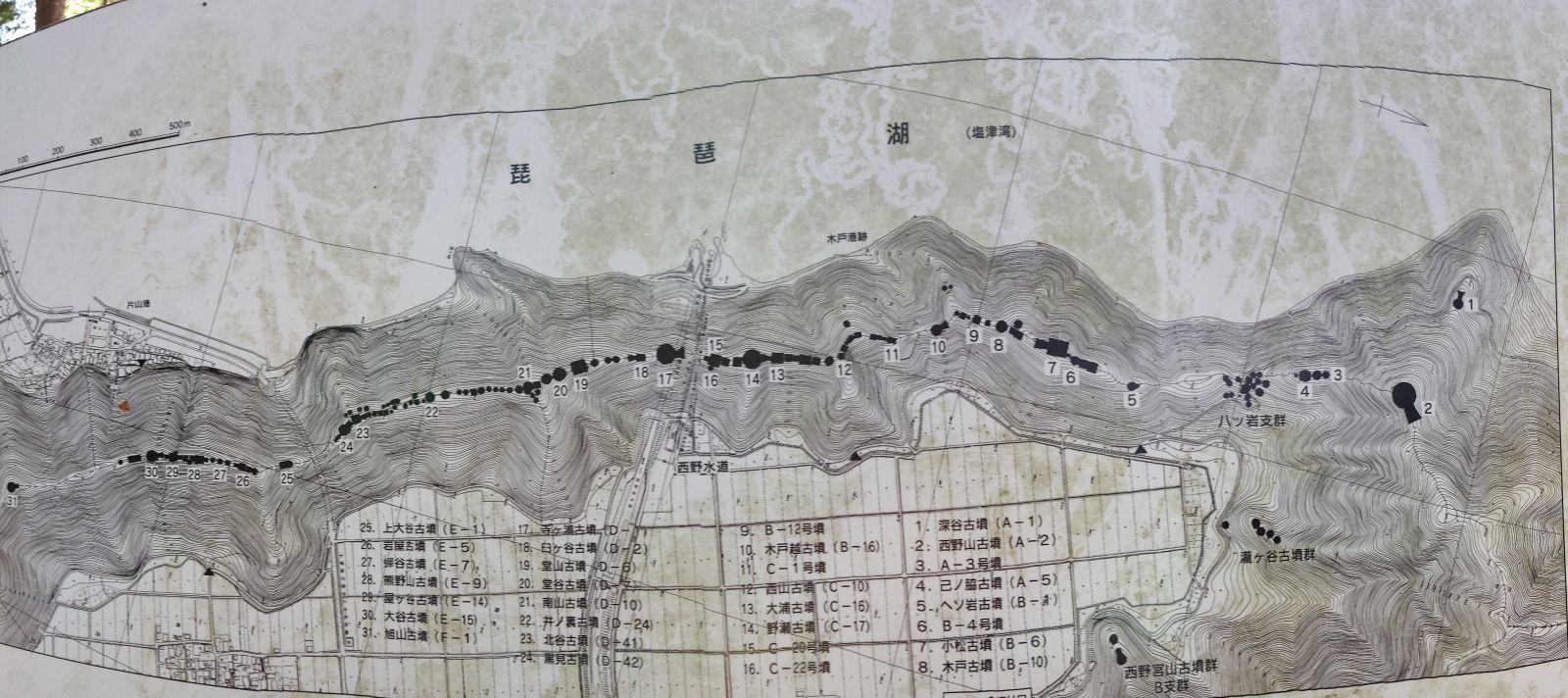 現地パネル（丘陵裾と丘陵尾根上に所在）