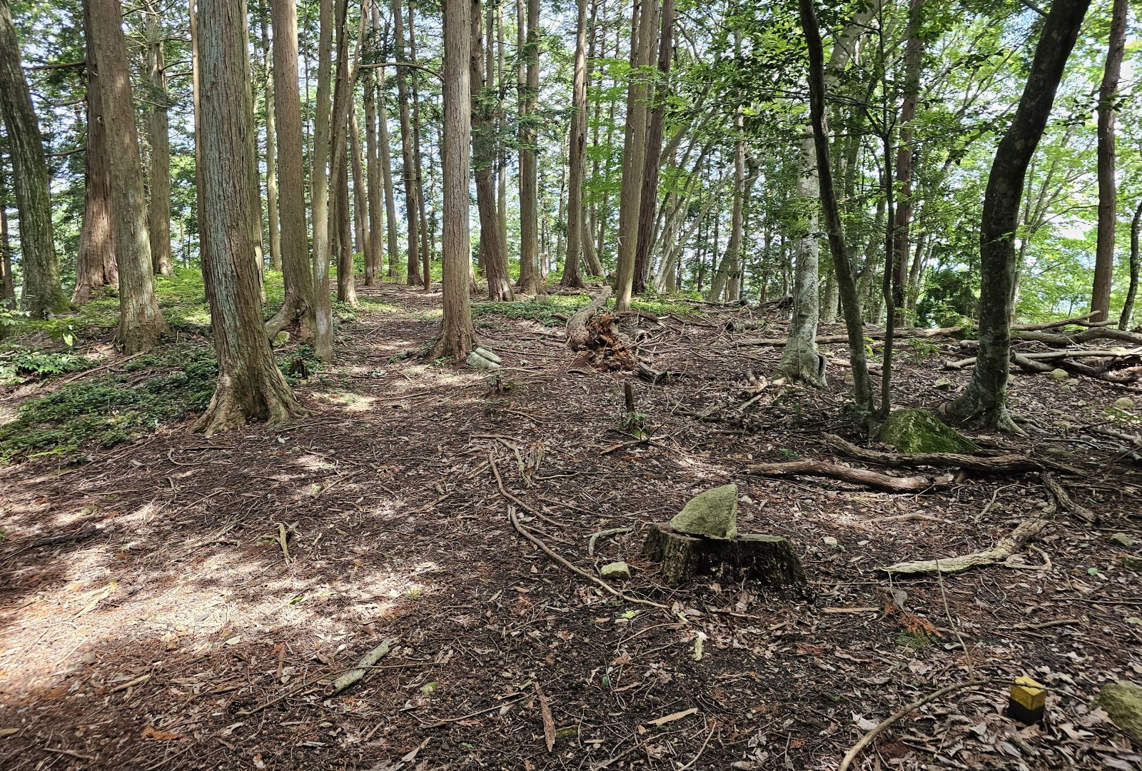 前方部