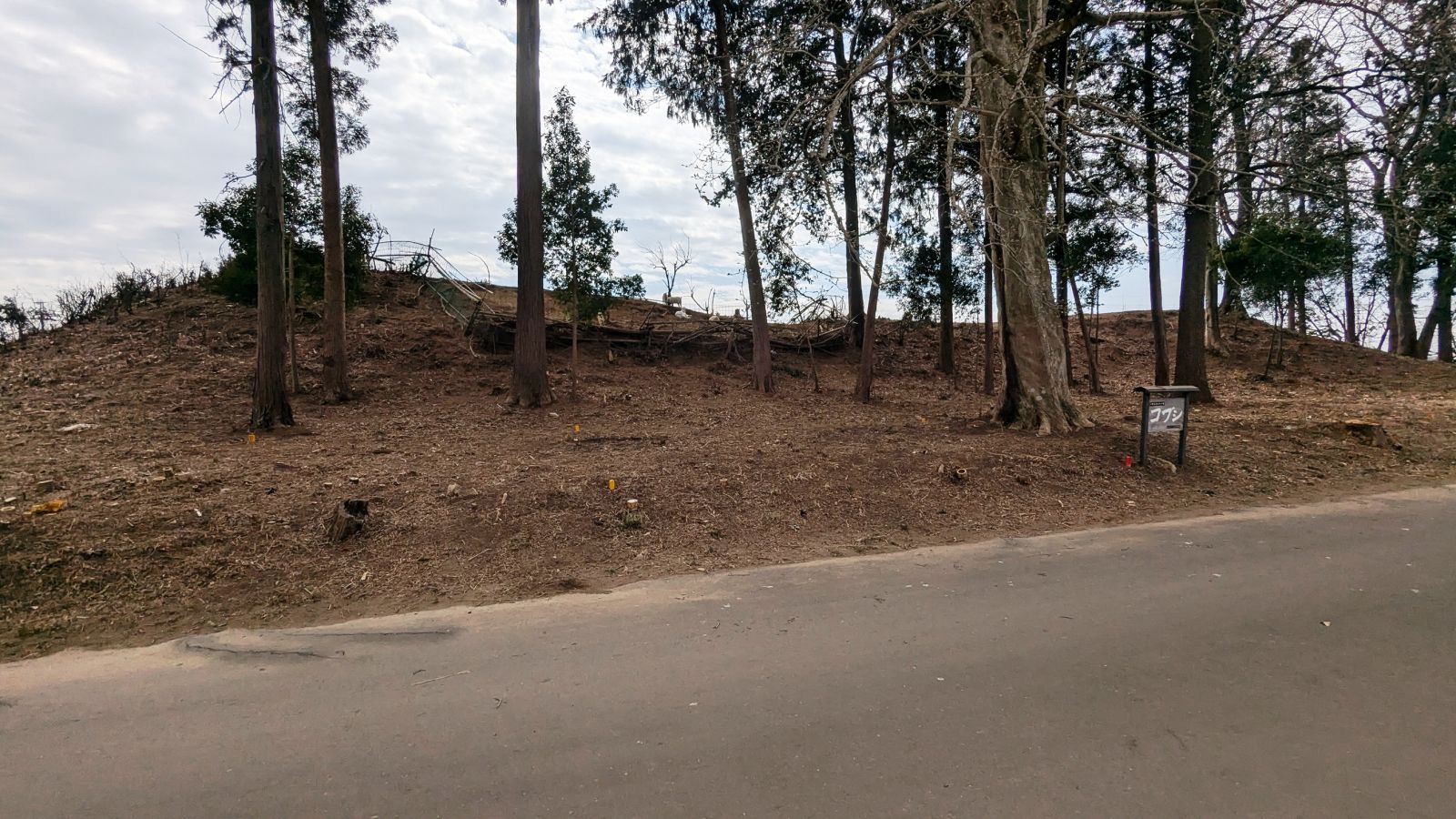 北から見た全景