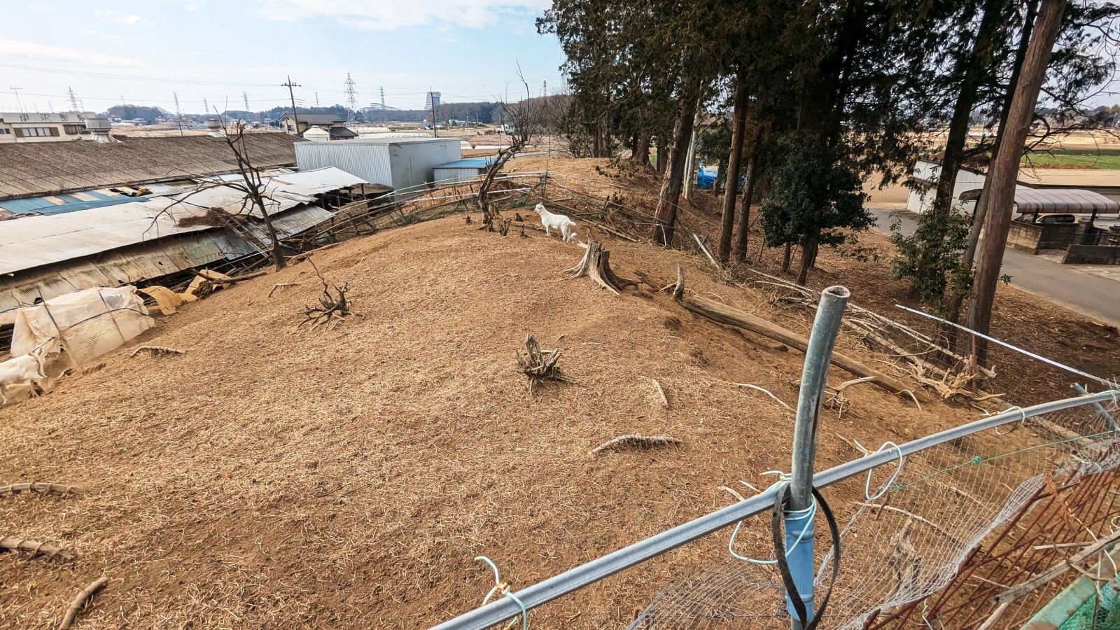 東方向から見た後円部