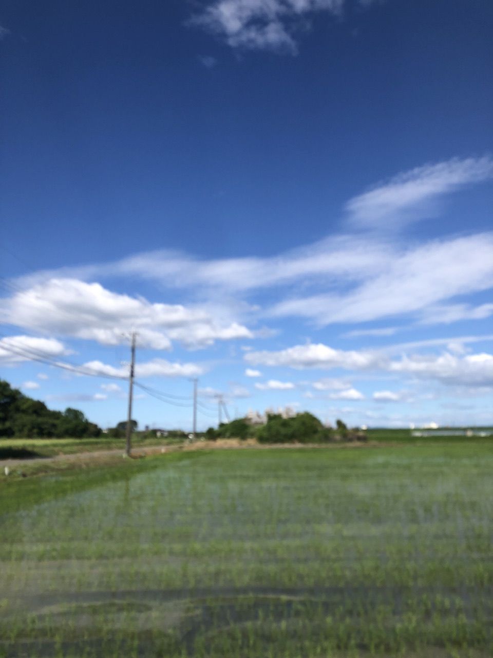 風楽寺古墳