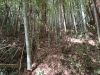 お城山古墳