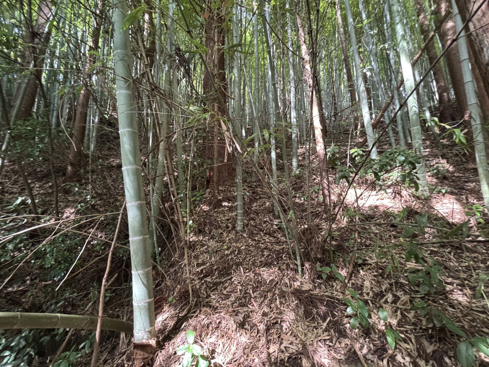 お城山古墳入口及び案内板