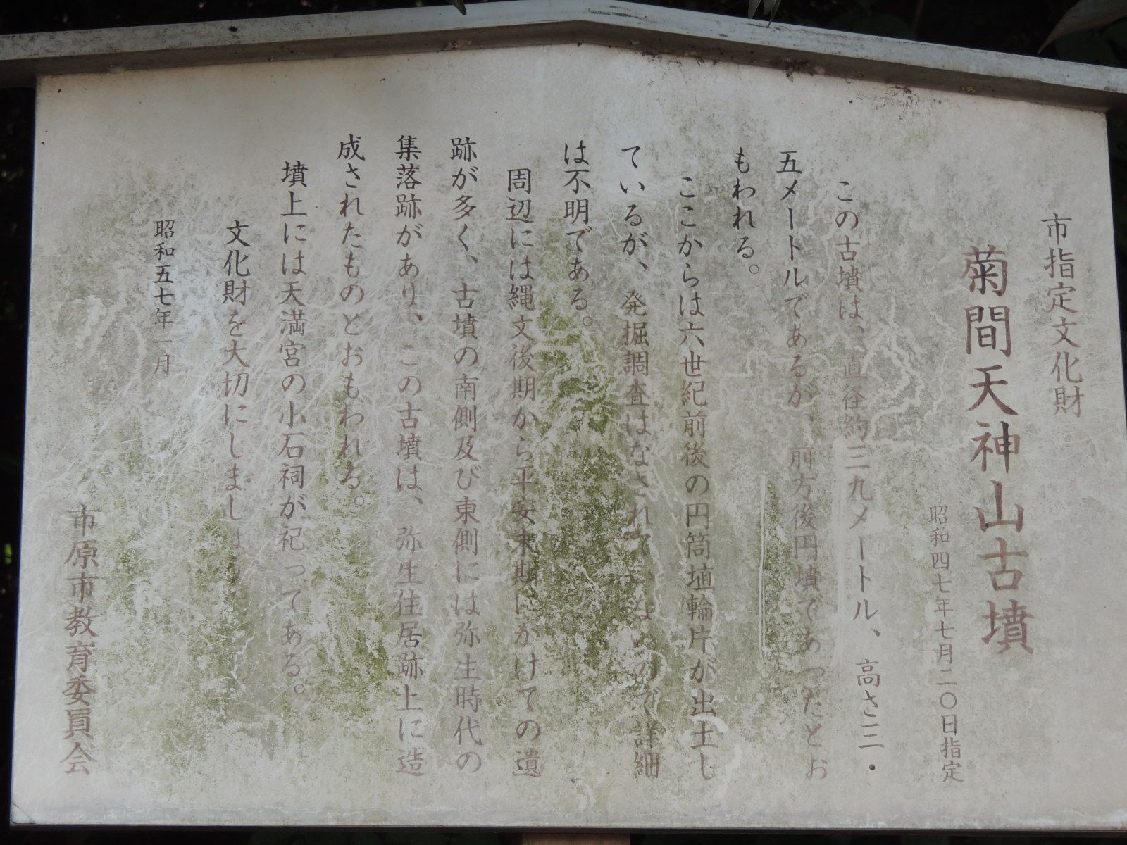 説明文