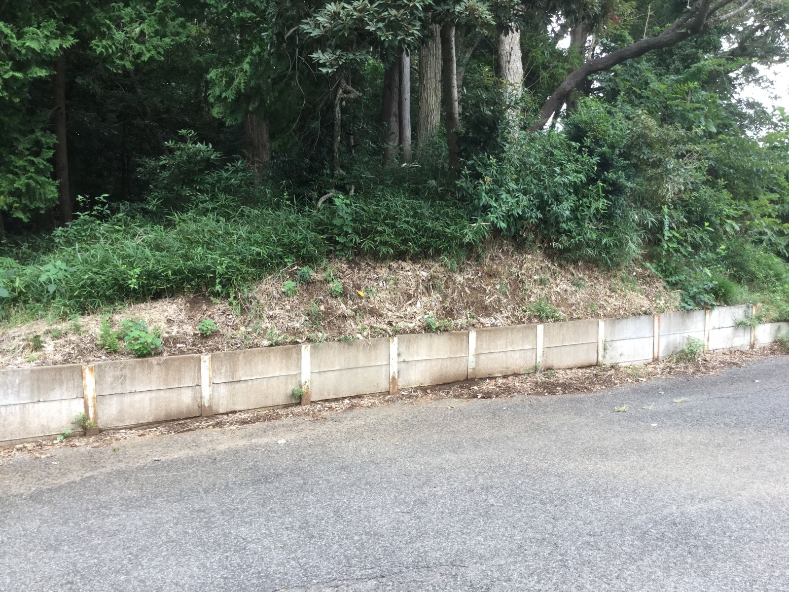 半分に切られた円墳？1